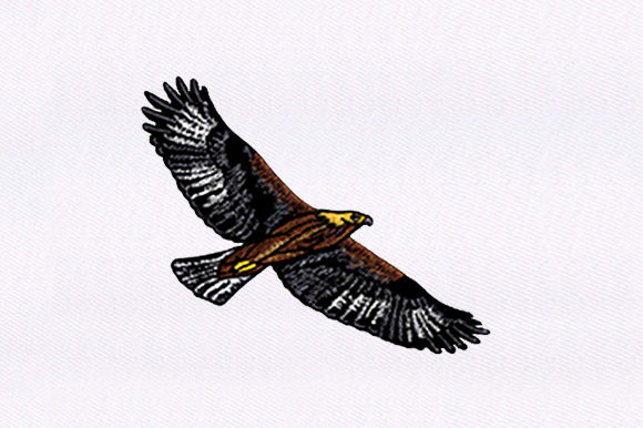 Brown Eagle Embroidery Design Review